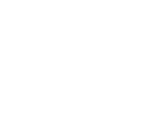 White SWFI FORT Logo